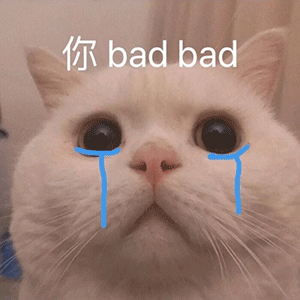 萌宠 猫咪 你badbad 呆萌 可爱