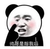 暴漫 熊猫头 帅哥是指我吗 搞笑 逗 沙雕