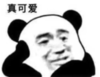 暴漫 熊猫头 真可爱 搞笑 逗 沙雕