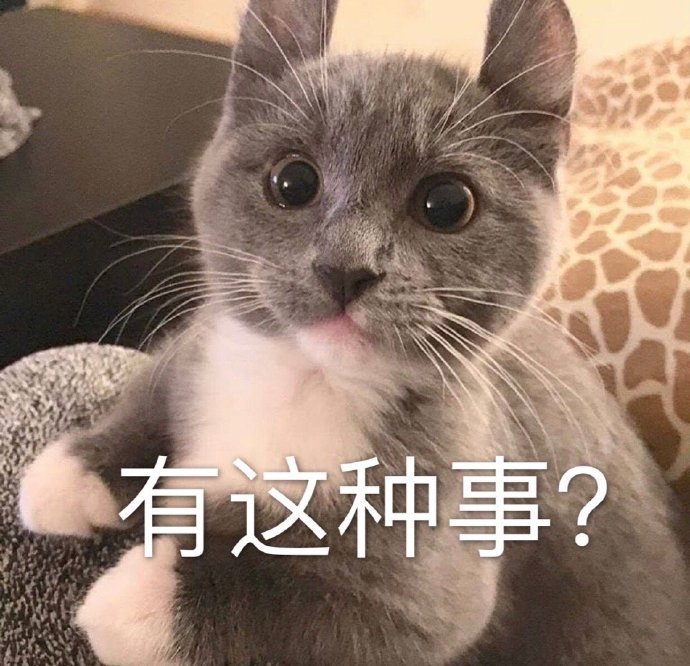 猫惊讶张嘴的表情图片