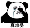 暴漫 熊猫头 真难受 搞笑 逗 沙雕