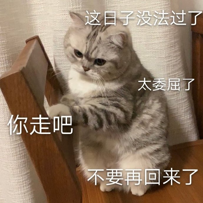 萌宠gif猫星人gif这日子没法过了gif太委屈了gif呆萌gif可爱gif