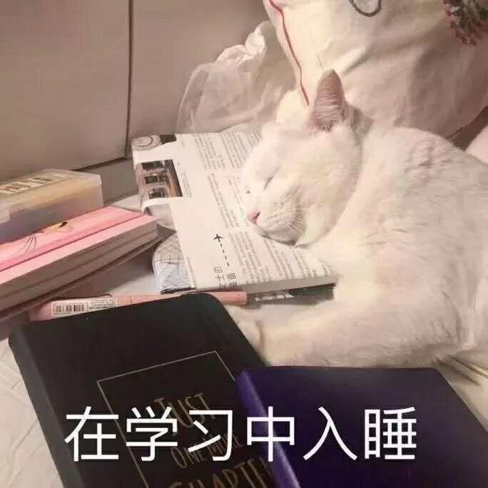 萌宠猫星人在学习中入睡困了呆萌可爱gif动图_动态图_表情包下载