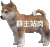 狗狗 群主站岗 站岗小狗 搞笑 沙雕