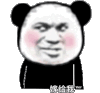 暴漫 熊猫头 嫁给我 搞怪 逗