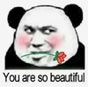 暴漫 文字表情包 you are so beautiful 搞笑 魔性 逗