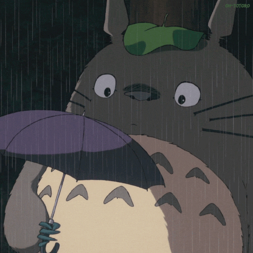龙猫下雨打伞的图画gif图片