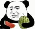 暴漫 熊猫头 吃瓜 搞笑 逗
