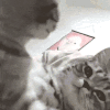 萌宠 猫咪 亲 呆萌 可爱