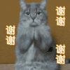 谢谢老板 感谢 日常 谢谢