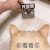 猫咪 你看看你只会苦 嘲讽 沙雕 搞笑
