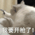 萌宠 猫咪 我要开枪了 呆萌 可爱
