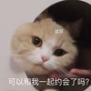 萌宠 猫星人 可以和我一起约会了吗 试探 搞怪 呆萌