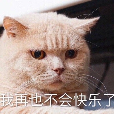 萌宠猫星人我再也不会快乐了难过搞怪呆萌gif动图