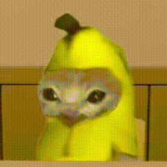 香蕉猫 meme 可爱 搞怪