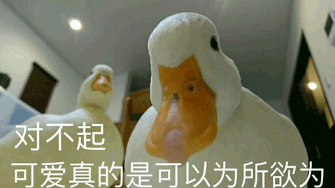 对不起gif鸭子gif可爱gif为所欲为gif