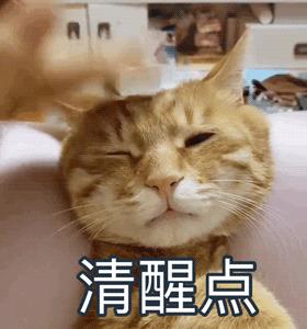 别睡了gif快起来gif我爱你gif跟你准备好吃的了gif