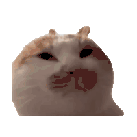 猫咪 猫meme 可爱 搞怪