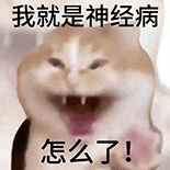 萌宠