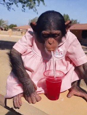 猩猩果汁阳光享受gif动图