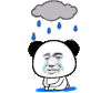 暴漫 熊猫头 哭 搞怪 逗