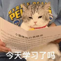 萌寵 貓咪 今天學(xué)習(xí)了嗎 呆萌 可愛