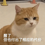 萌寵 貓咪 醒了但也付出了相應(yīng)的代價 呆萌 可愛