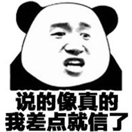 我差点就信了熊猫斗图熊猫头图表头斗gif动图_动态图_表情包下载