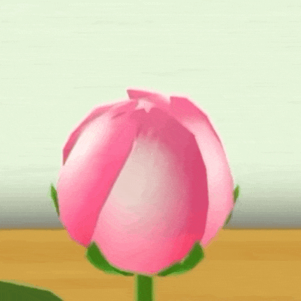 开花 丑萌 沙雕 搞怪