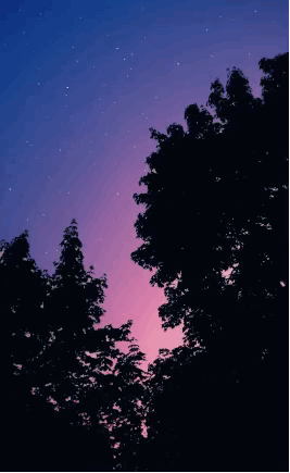天空星星闪烁树木gif动图