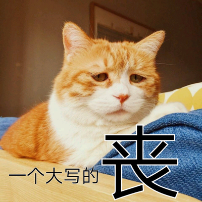 主人好丧心啊图片_主人好丧心啊动态图_主人好丧心啊表情包gif动图