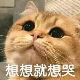 猫哭表情包 眼泪汪汪图片