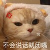 萌宠 猫星人 不会说话就闭嘴 切 搞怪 逗