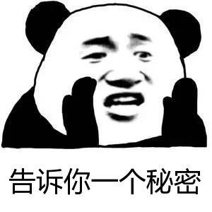 悄悄话熊猫图片