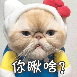 你瞅啥gif蒙圈gif猫gif搞怪gif逗gif