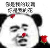 暴漫 熊猫头 你是我的玫瑰 你是我的花 搞怪 逗