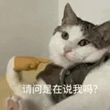 萌寵 貓咪 請(qǐng)問是在說我嗎 呆萌 可愛