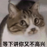 萌宠 猫咪 等下讲你又不高兴 呆萌 可爱