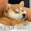 搞笑 沙雕 关爱智障的眼神 逗