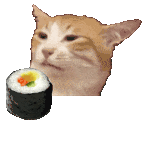 萌宠 猫咪 舔 呆萌 可爱