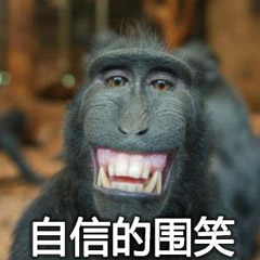 狒狒笑表情包图片