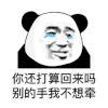 暴漫 熊猫头 回来 搞怪 逗