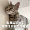 情侣 土味 想你的液 搞笑