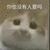 萌宠 猫咪 你也没有人要吗 呆萌 可爱