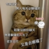 猫咪 情侣 可爱 搞笑