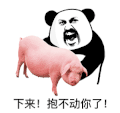 暴漫 熊猫头 下来 抱不动你了 搞怪 逗