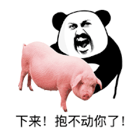 暴漫 熊猫头 下来 抱不动你了 搞怪 逗