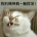 萌宠