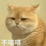 萌寵 貓咪 不嘻嘻 呆萌 可愛