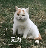 萌宠